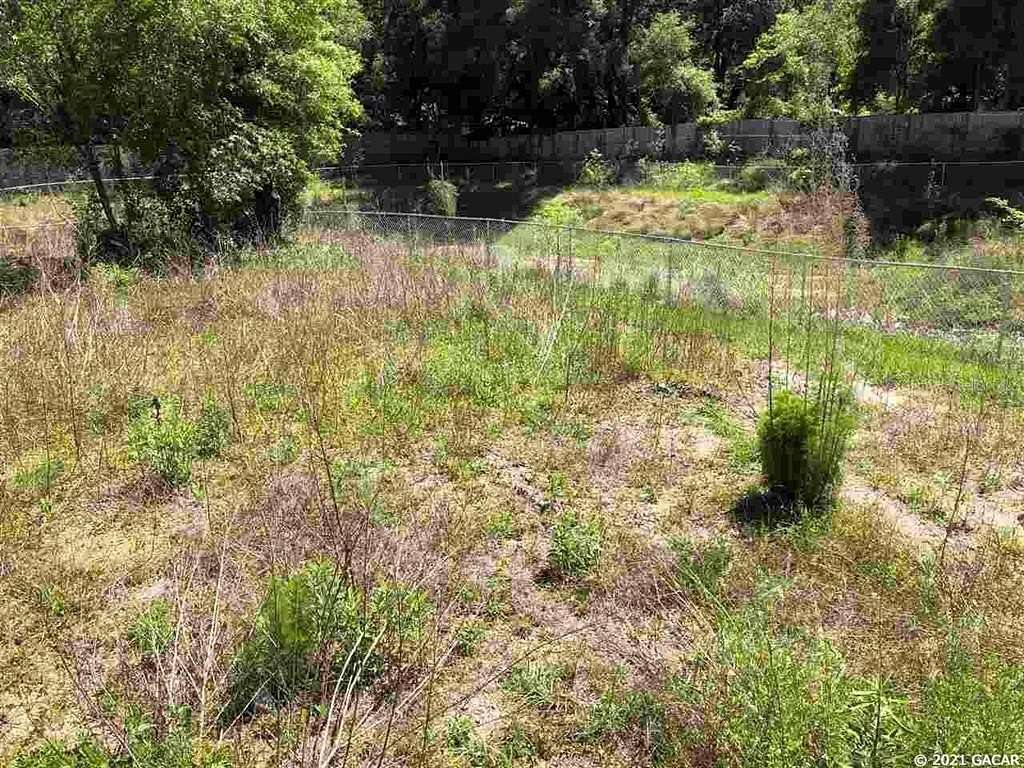 1 Acre of Residential Land for Sale in Newberry, Florida