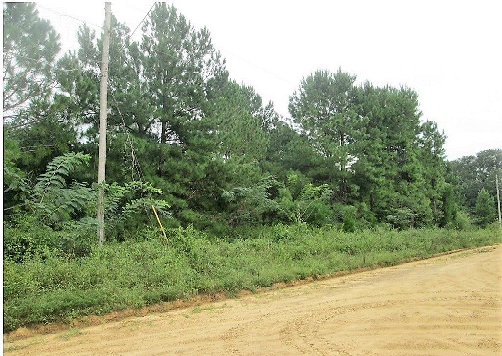 0.35 Acres of Residential Land for Sale in Ashford, Alabama