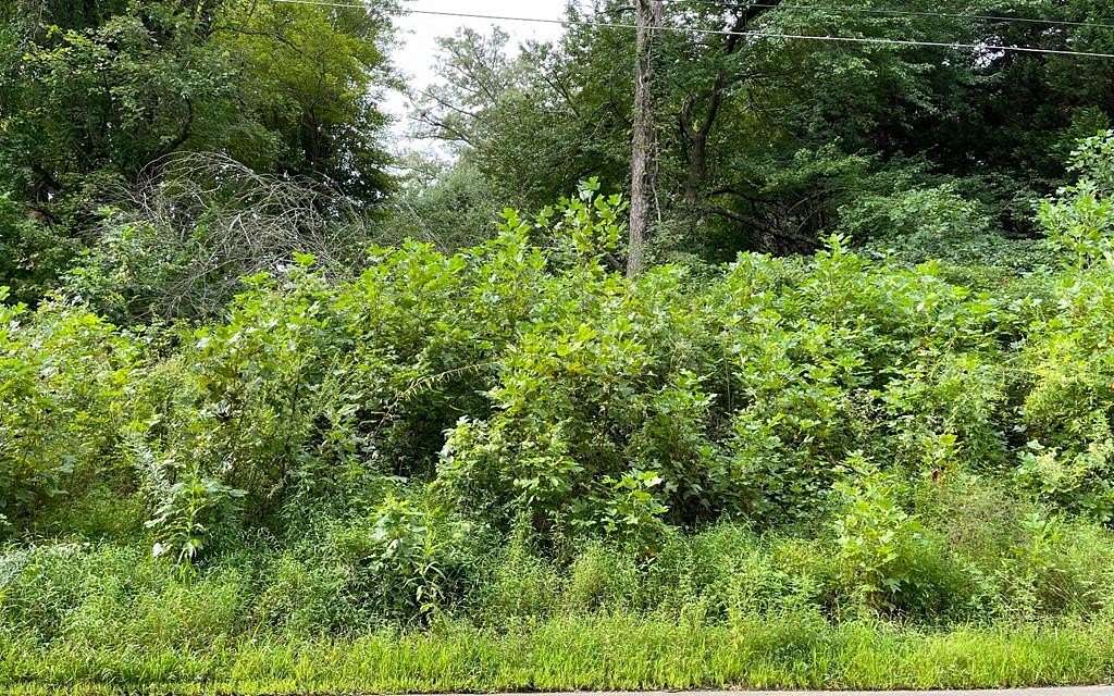 0.39 Acres of Land for Sale in Hayesville, North Carolina