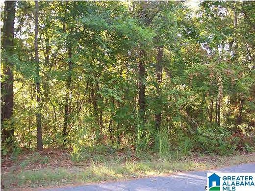 1 Acre of Land for Sale in Riverside, Alabama