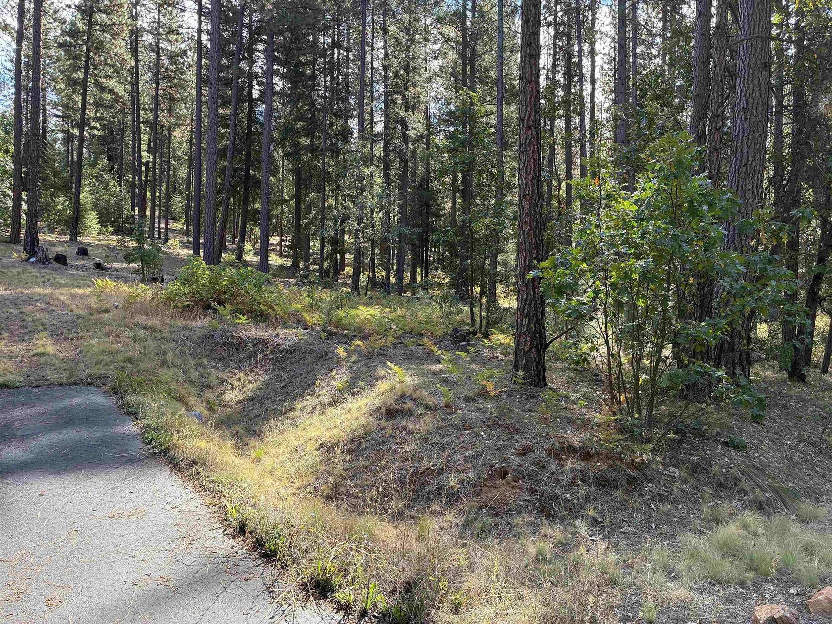 1.22 Acres of Land for Sale in Quincy, California