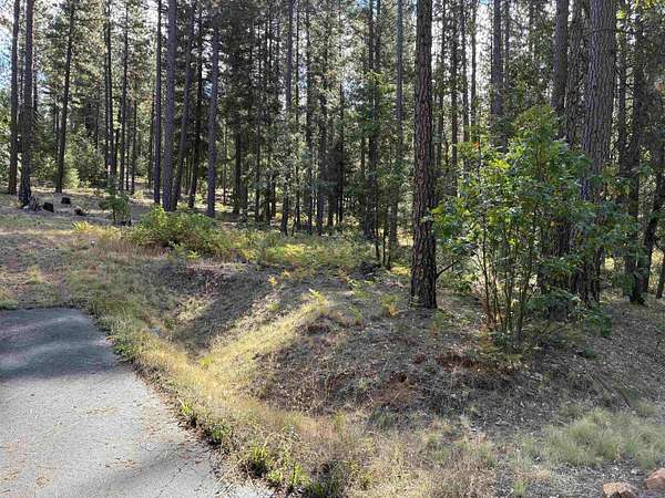 1.22 Acres of Land for Sale in Quincy, California