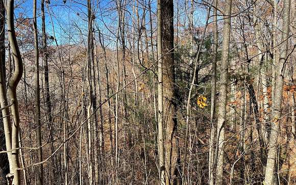 1.6 Acres of Land for Sale in Hayesville, North Carolina