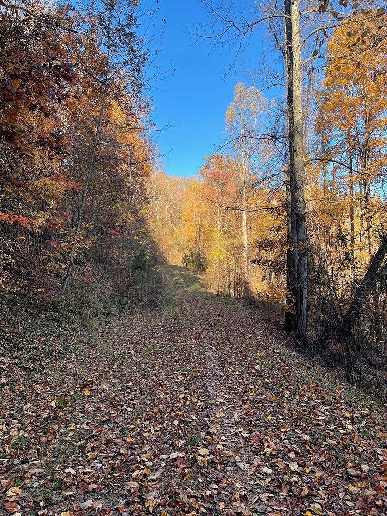 4.34 Acres of Land for Sale in Hayesville, North Carolina