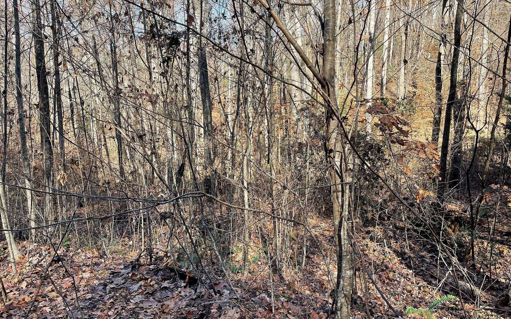 1.5 Acres of Land for Sale in Hayesville, North Carolina