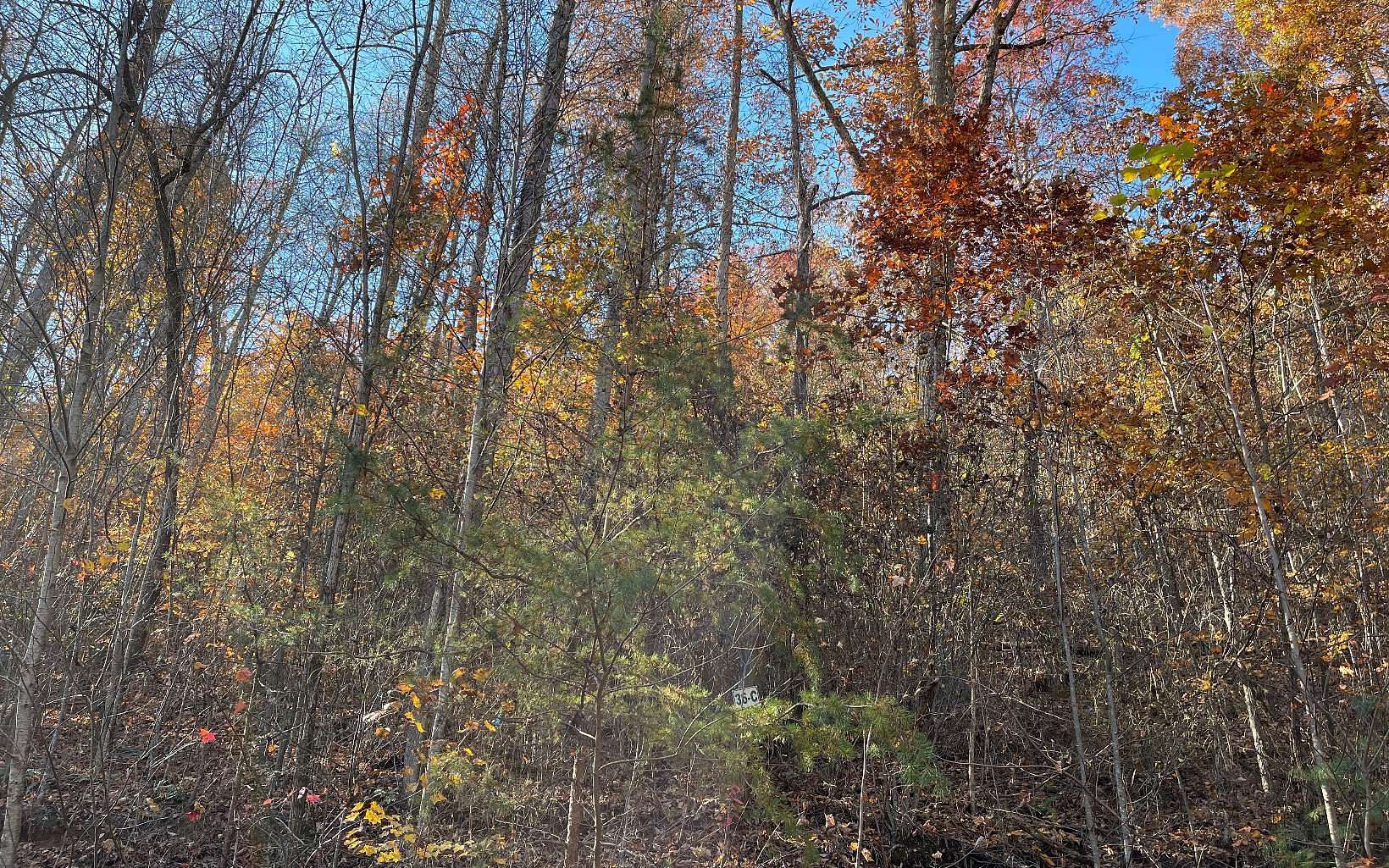 0.74 Acres of Land for Sale in Hayesville, North Carolina