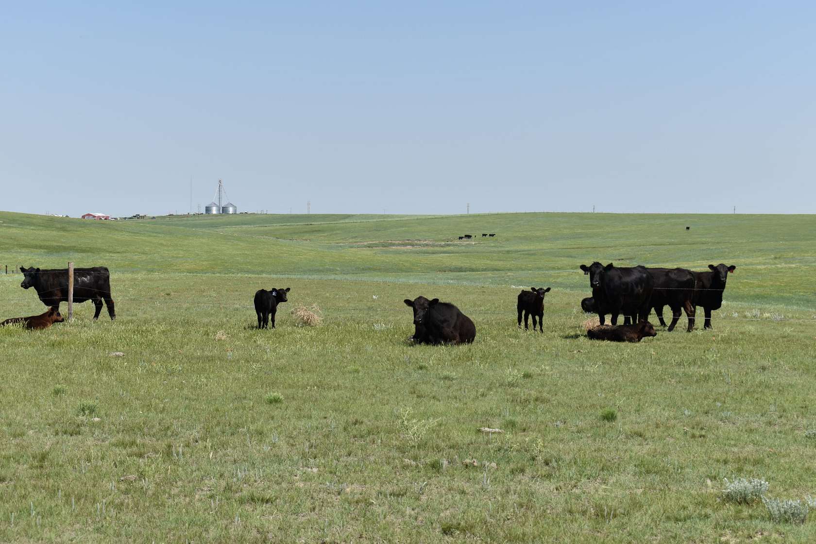 10,684 Acres of Recreational Land & Farm for Sale in Akron, Colorado