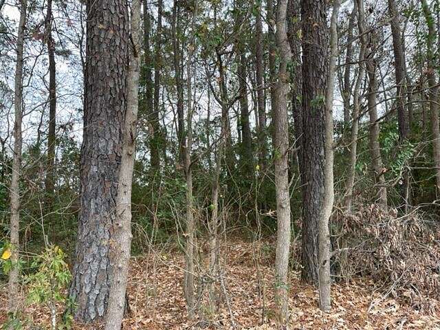 0.14 Acres of Land for Sale in Goose Creek, South Carolina