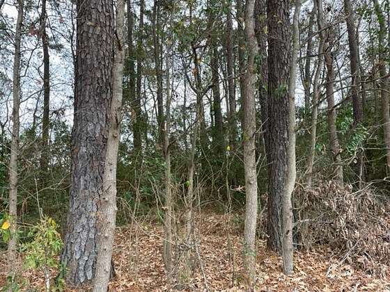0.16 Acres of Land for Sale in Goose Creek, South Carolina