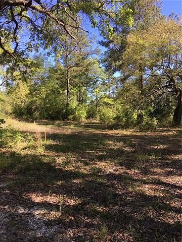 195 Acres of Land for Sale in Pearl River, Louisiana