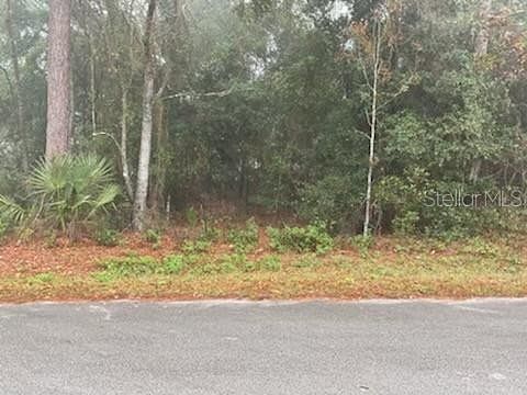 0.25 Acres of Residential Land for Sale in Belleview, Florida