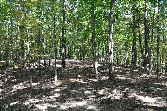 25 Acres of Land for Sale in Rockmart, Georgia