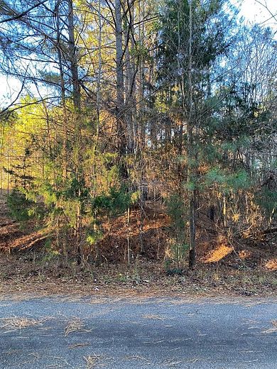 1 Acre of Residential Land for Sale in Upatoi, Georgia