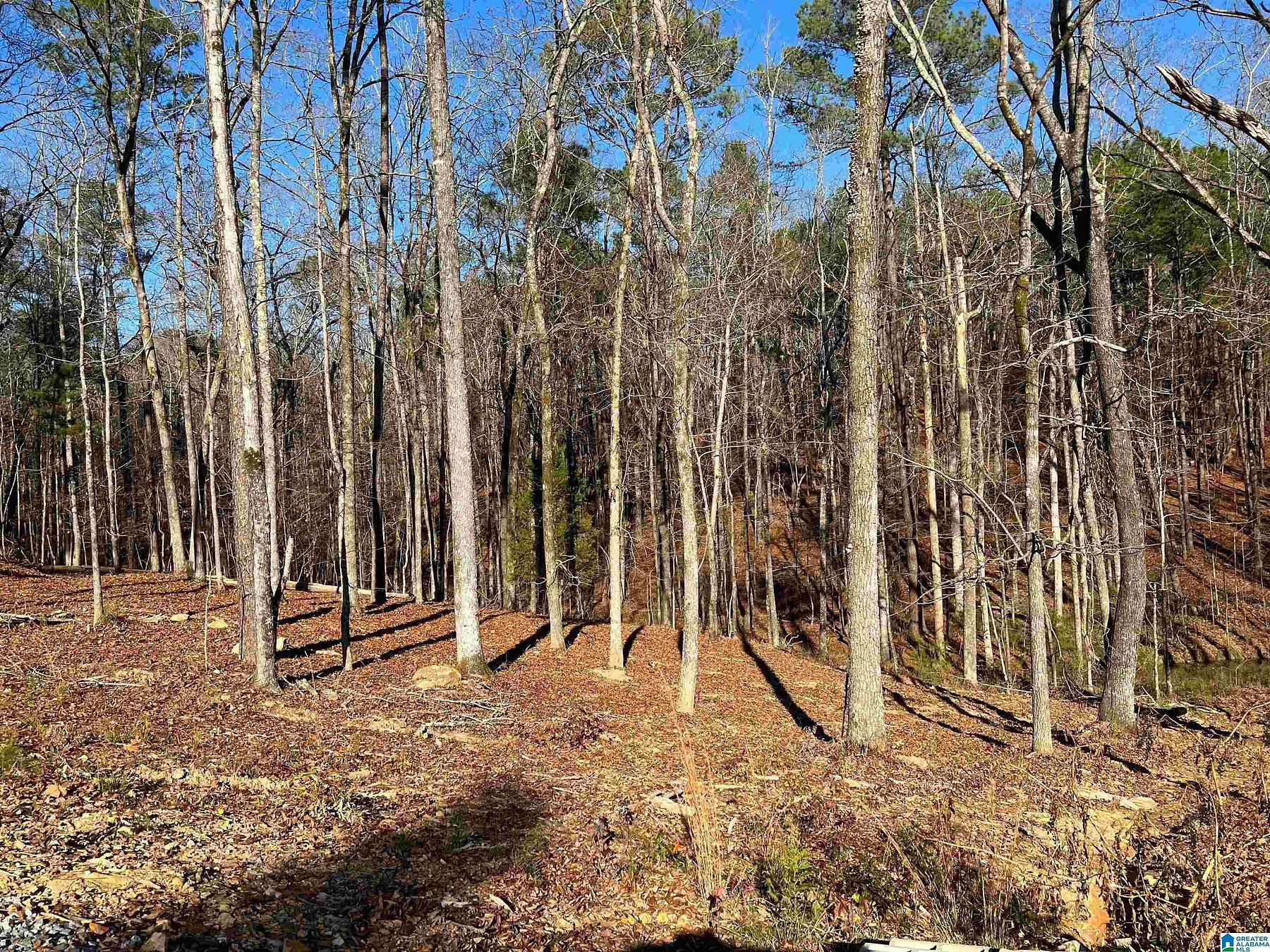 4.5 Acres of Residential Land for Sale in Sterrett, Alabama