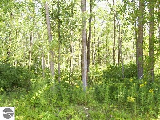 0.67 Acres of Land for Sale in Au Gres, Michigan