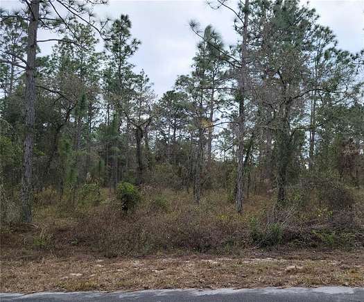 1 Acre of Residential Land for Sale in Dunnellon, Florida