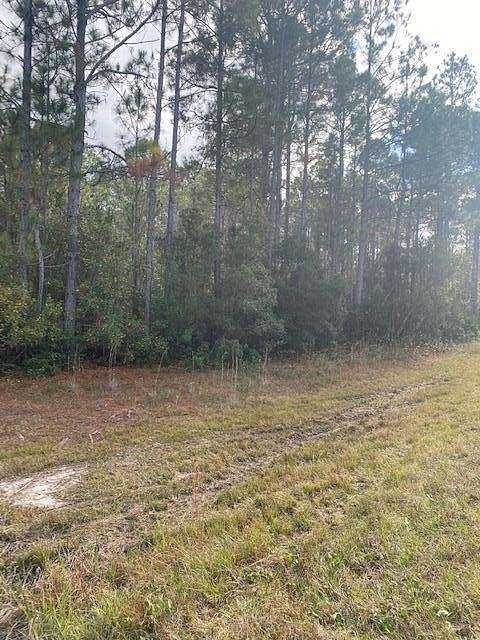 2.204 Acres of Residential Land for Sale in Hinesville, Georgia