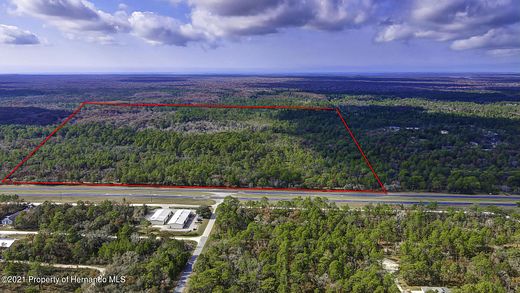 48.3 Acres of Agricultural Land for Sale in Weeki Wachee, Florida