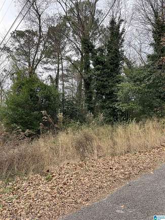 5.3 Acres of Residential Land for Sale in Anniston, Alabama