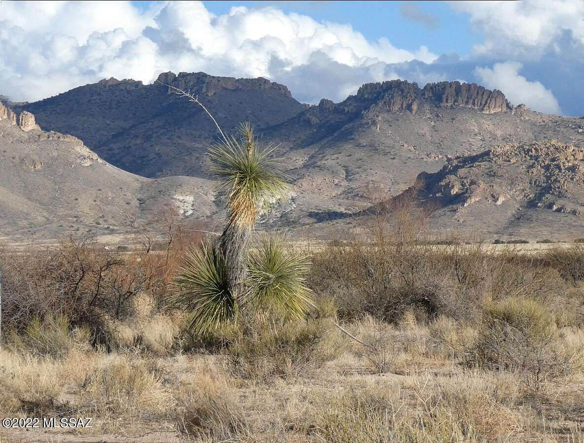 39.5 Acres of Land for Sale in Portal, Arizona