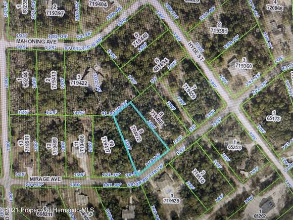 0.98 Acres of Land for Sale in Brooksville, Florida