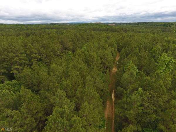 55.4 Acres of Recreational Land for Sale in Ranger, Georgia