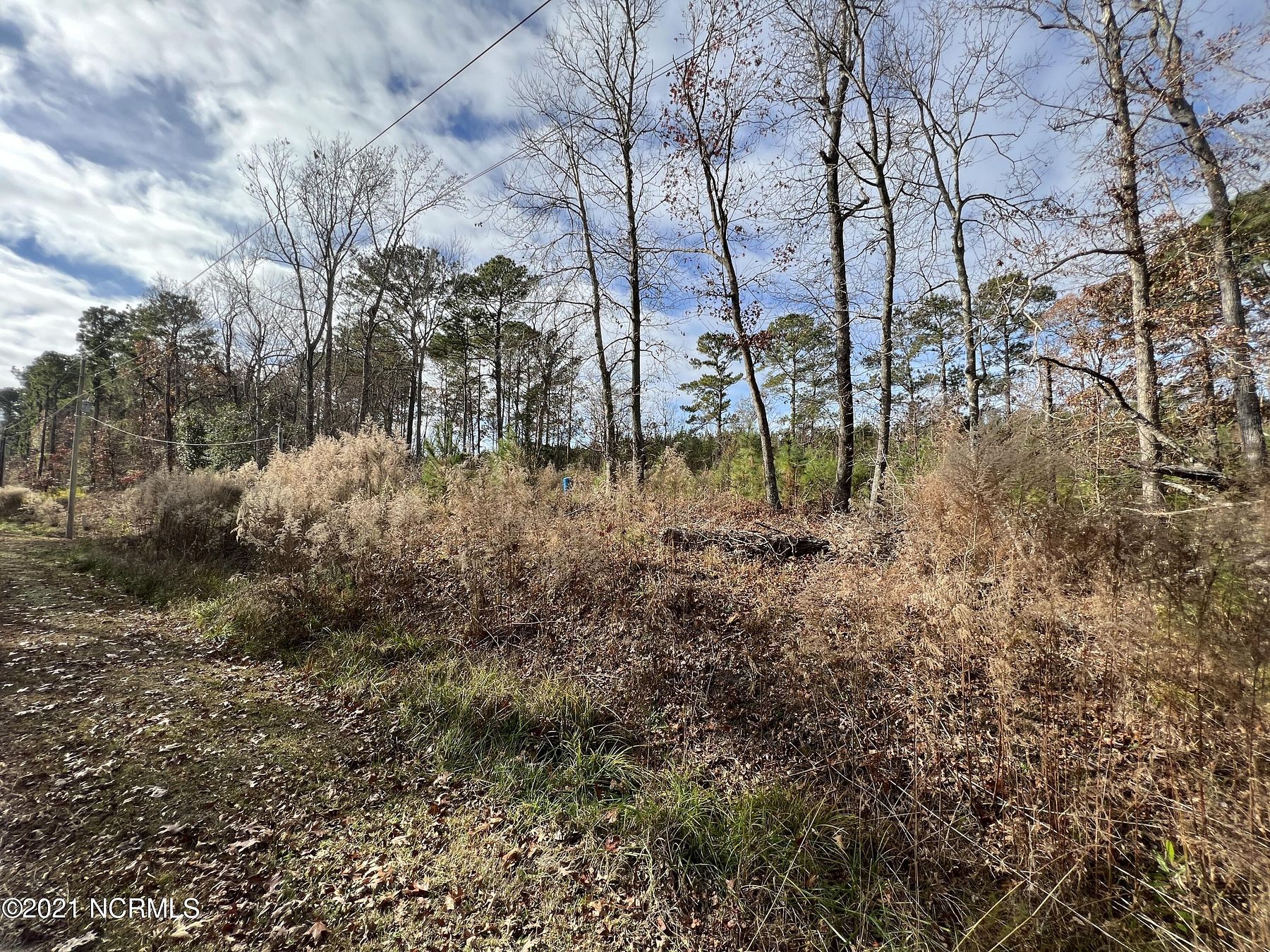 0.93 Acres of Residential Land for Sale in Arapahoe, North Carolina