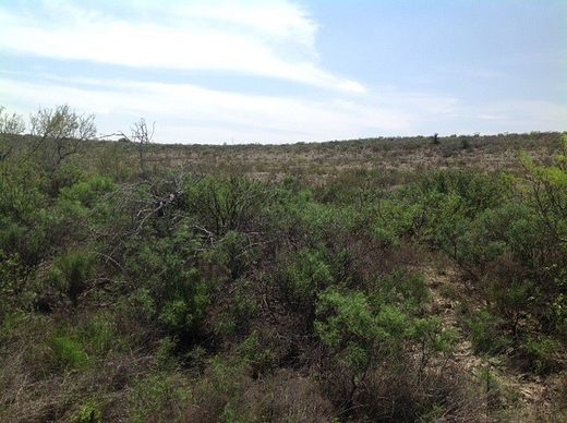 206 Acres of Land for Sale in Dryden, Texas