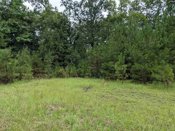 37.3 Acres of Land for Sale in Hartsville, South Carolina