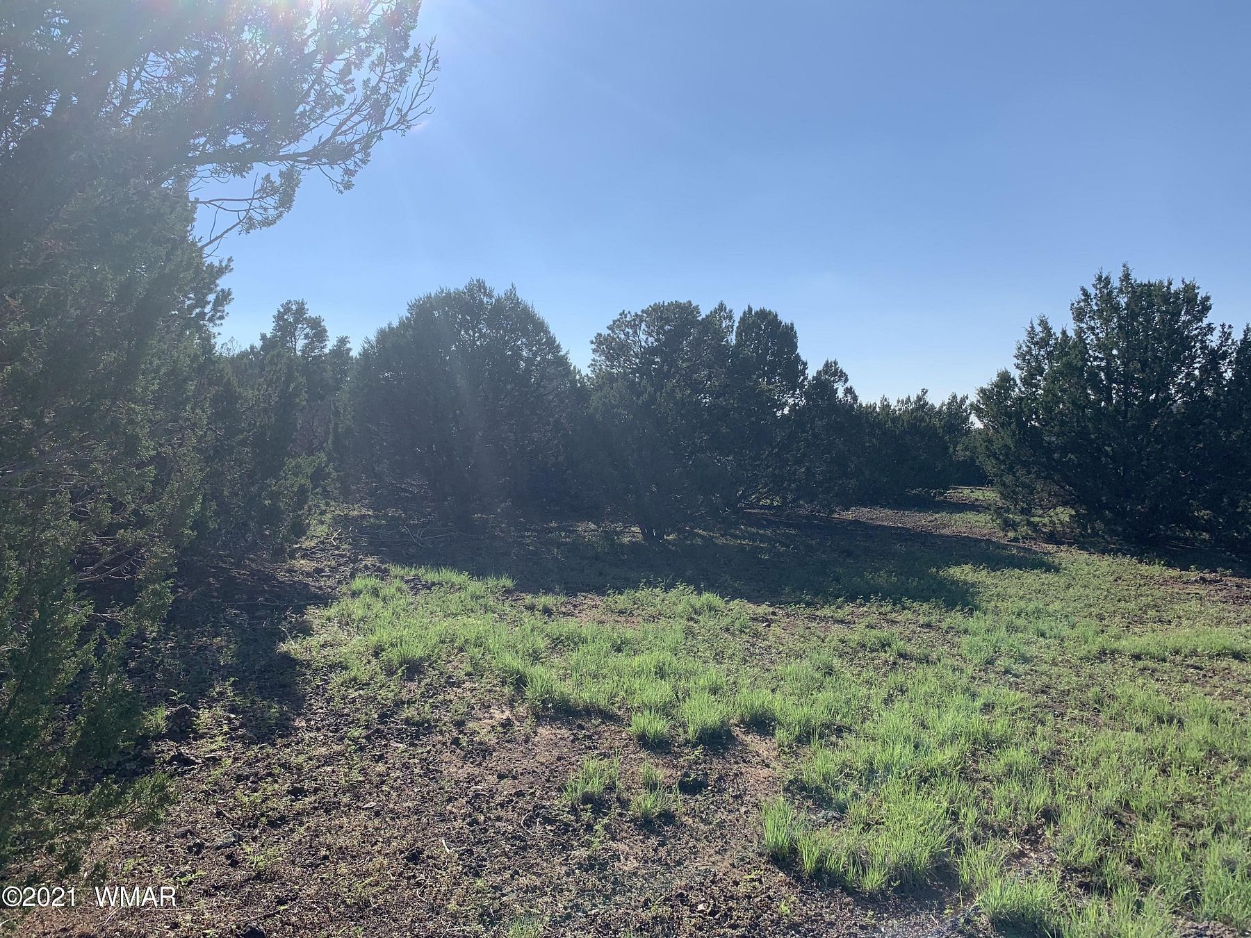 5 Acres of Land for Sale in Vernon, Arizona