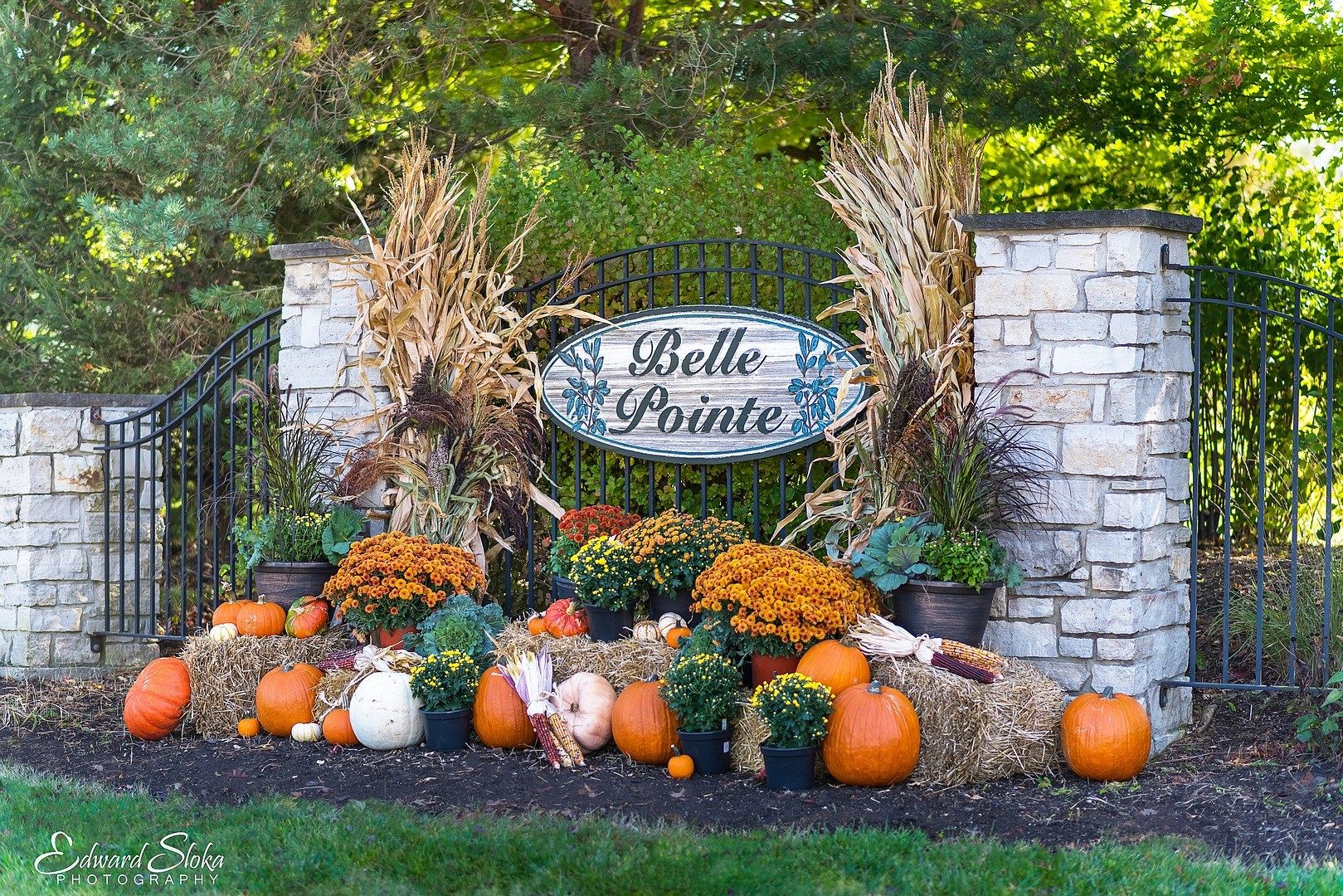 1 Acre of Residential Land for Sale in Union, Illinois