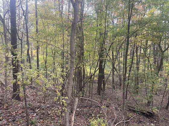 8.3 Acres of Land for Sale in Tunnelton, West Virginia
