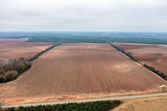 114 Acres of Land for Sale in Americus, Georgia