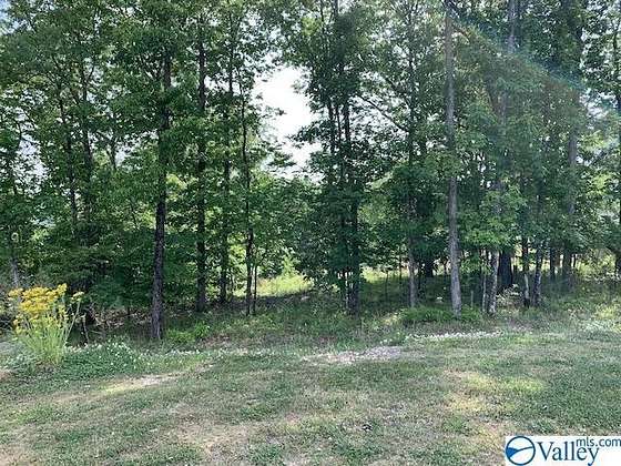 10.4 Acres of Land for Sale in Owens Cross Roads, Alabama