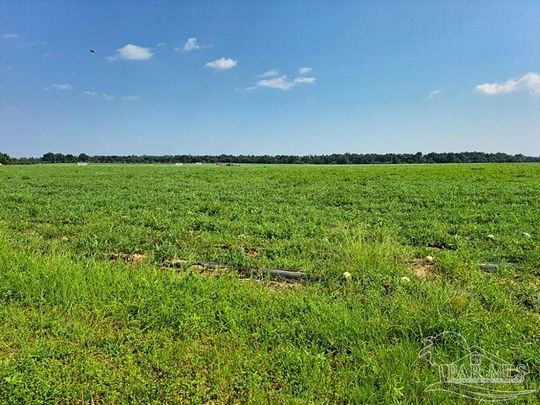 157 Acres of Land for Sale in Milton, Florida