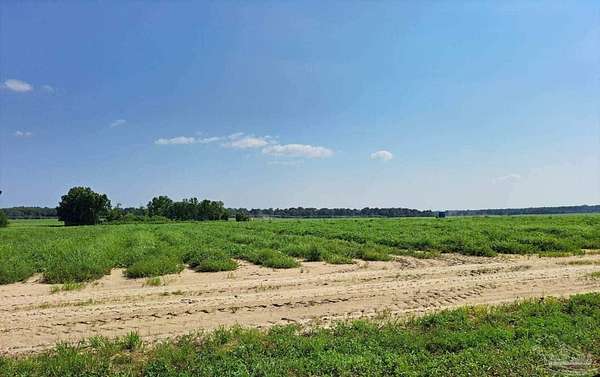 157 Acres of Land for Sale in Milton, Florida