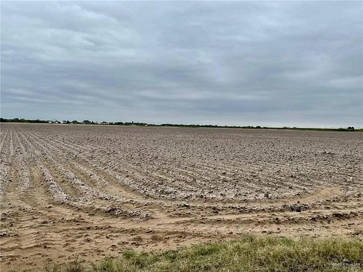 38.3 Acres of Land for Sale in Mercedes, Texas