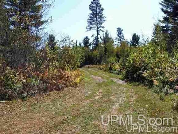 240 Acres of Land for Sale in Iron River, Michigan
