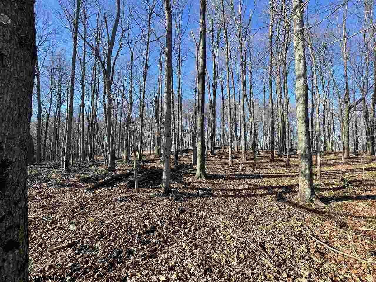 14.6 Acres of Agricultural Land for Sale in Fairmont, West Virginia