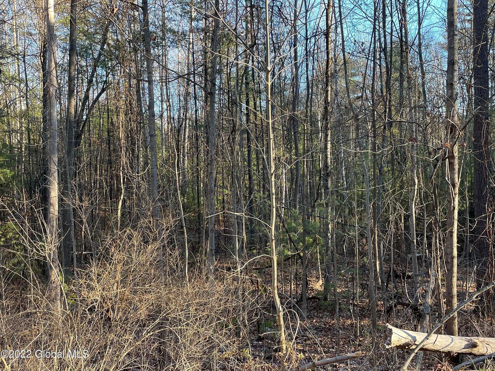 1 Acre of Residential Land for Sale in Lake George, New York