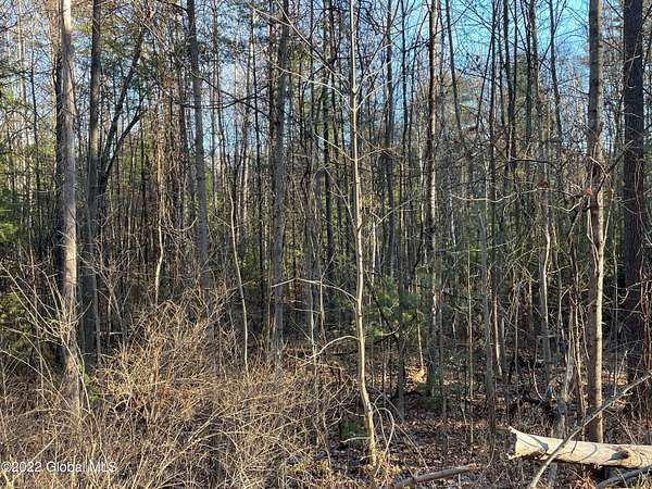 1 Acre of Residential Land for Sale in Lake George, New York