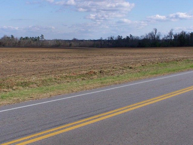 350 Acres of Agricultural Land for Sale in Elloree, South Carolina