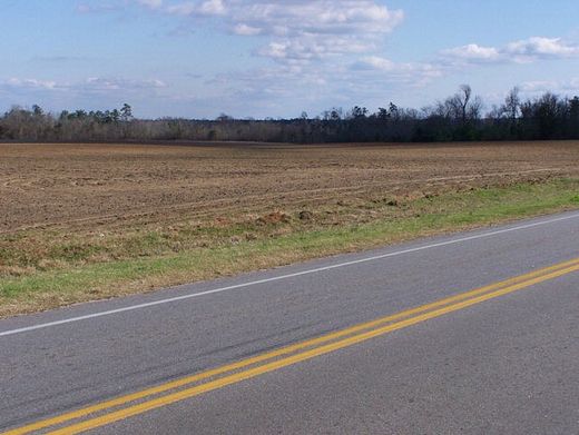 350 Acres of Agricultural Land for Sale in Elloree, South Carolina