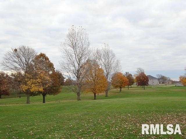 0.73 Acres of Residential Land for Sale in Elmwood, Illinois