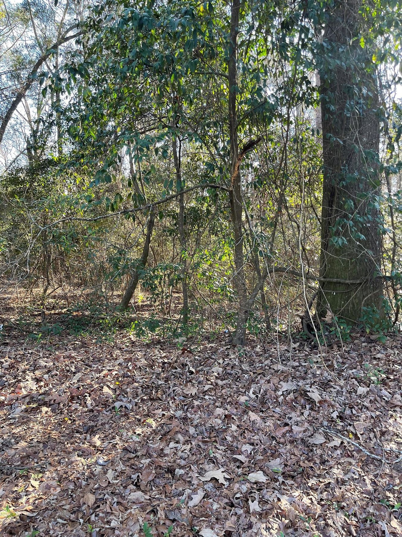 0.49 Acres of Residential Land for Sale in Eufaula, Alabama