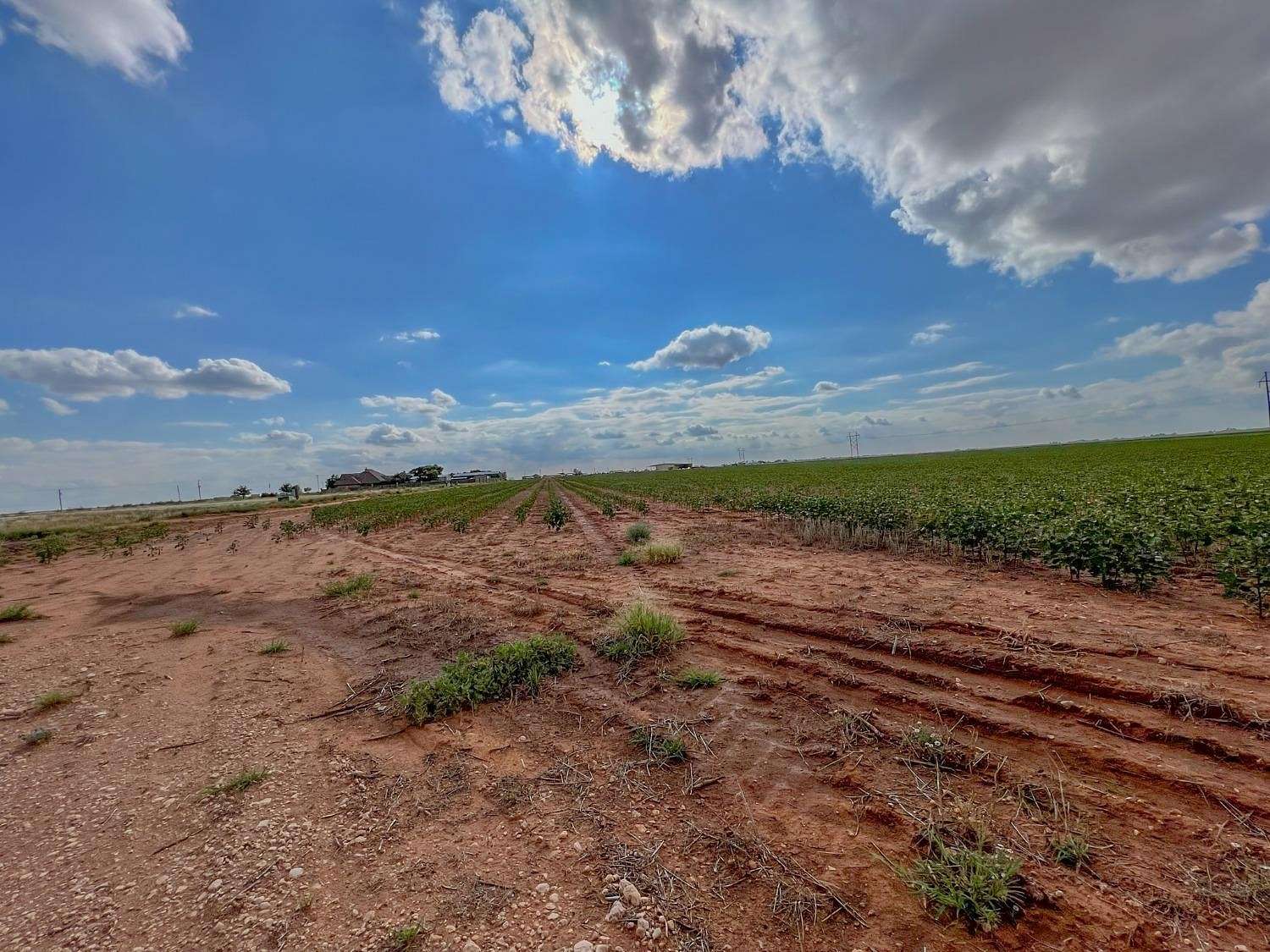 103.72 Acres of Land for Sale in Ropesville, Texas