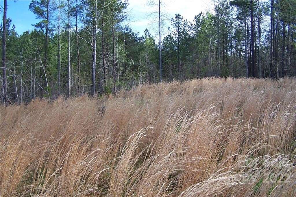 16.4 Acres of Land for Sale in Mill Spring, North Carolina