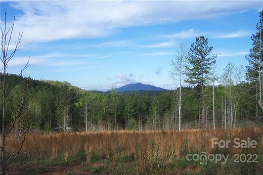 16.4 Acres of Agricultural Land for Sale in Mill Spring, North Carolina