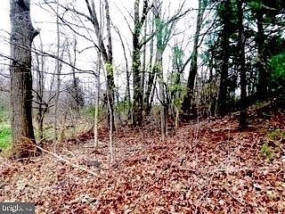 1.1 Acres of Land for Sale in Elk Garden, West Virginia