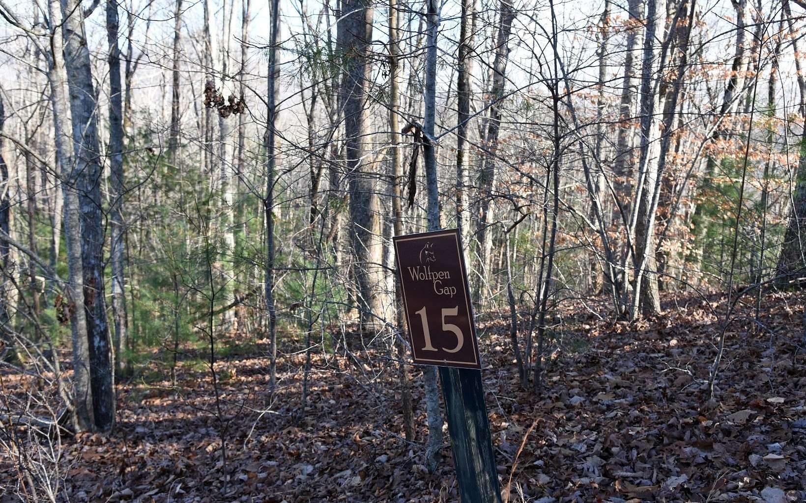 1 Acre of Land for Sale in Hiawassee, Georgia